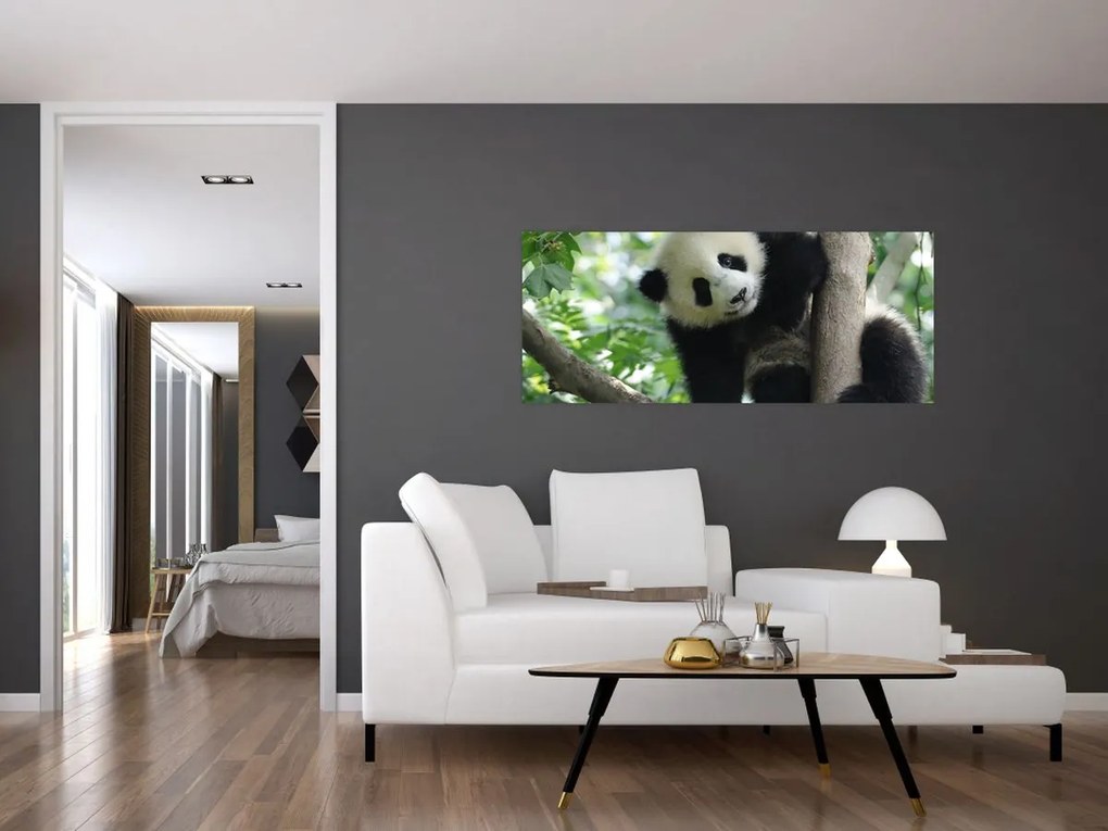 Obraz - Panda na strome (120x50 cm)