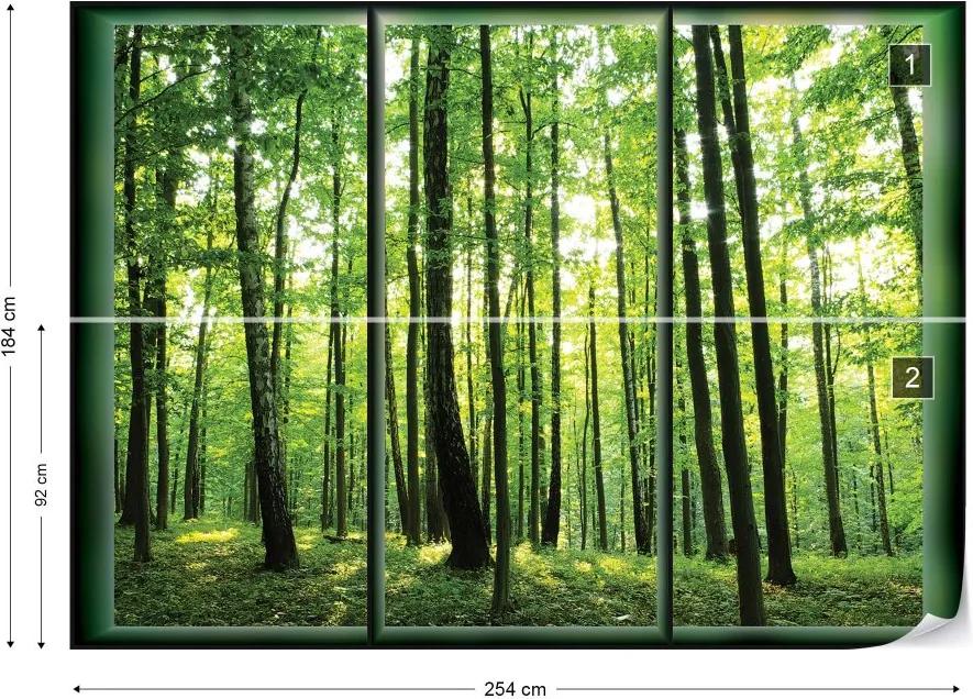 GLIX Fototapeta - Forest Trees Green Window View Vliesová tapeta  - 254x184 cm