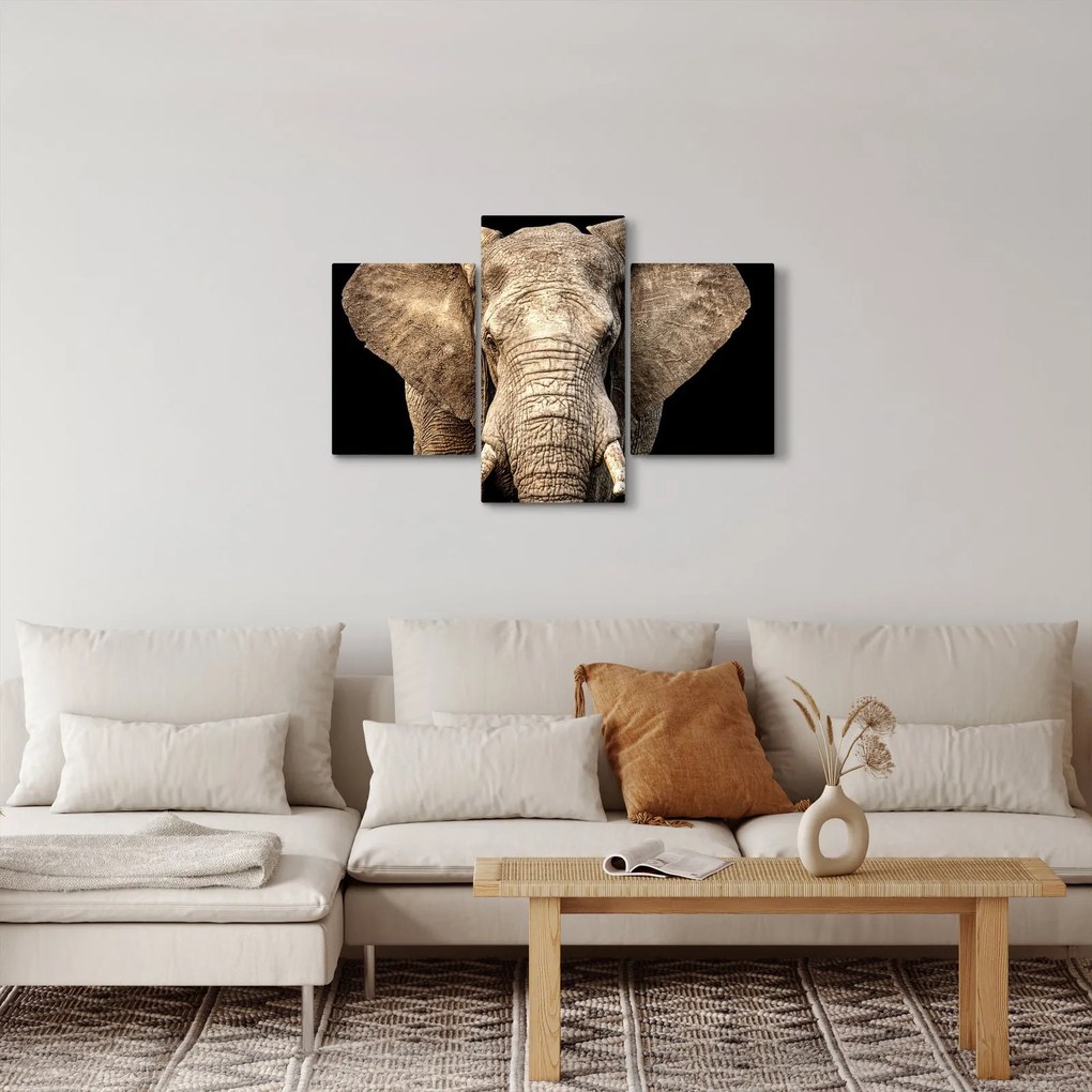 Obraz - Slon africký (90x60 cm)