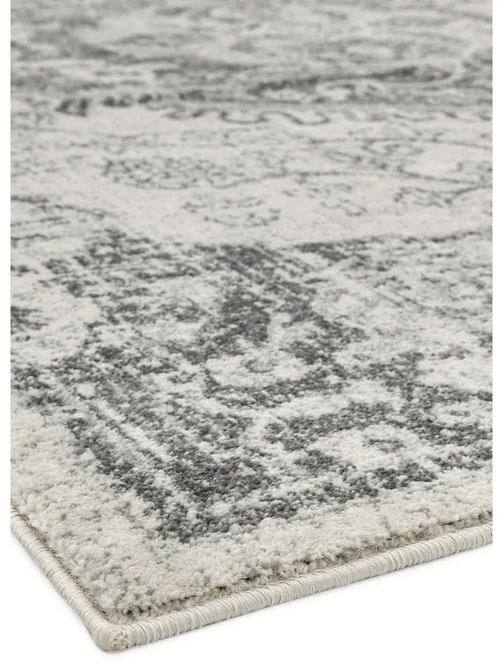 Sivo-krémový koberec 120x170 cm Nova – Asiatic Carpets