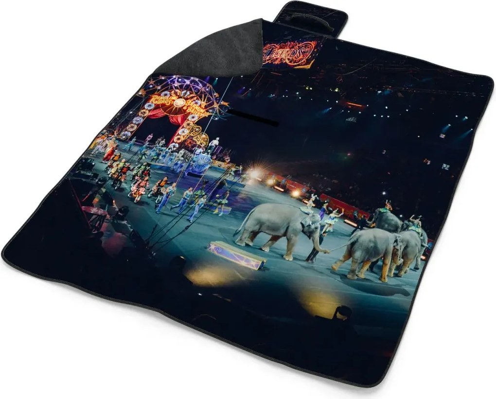 Sablio Plážová deka Cirkus: 200x140 cm