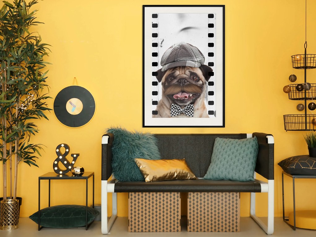 Artgeist Plagát - Pug In Hat [Poster] Veľkosť: 40x60, Verzia: Čierny rám