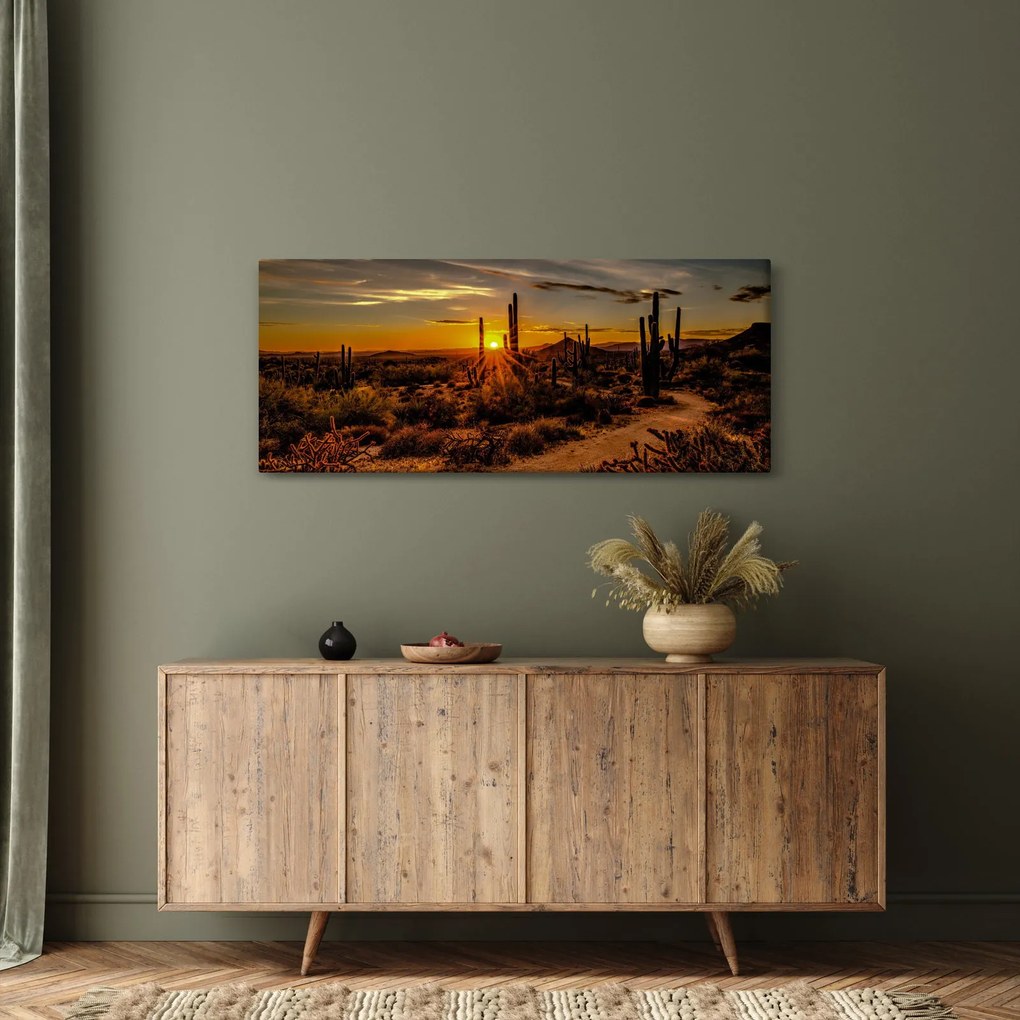 Obraz - Koniec dňa v arizonskej púšti (120x50 cm)
