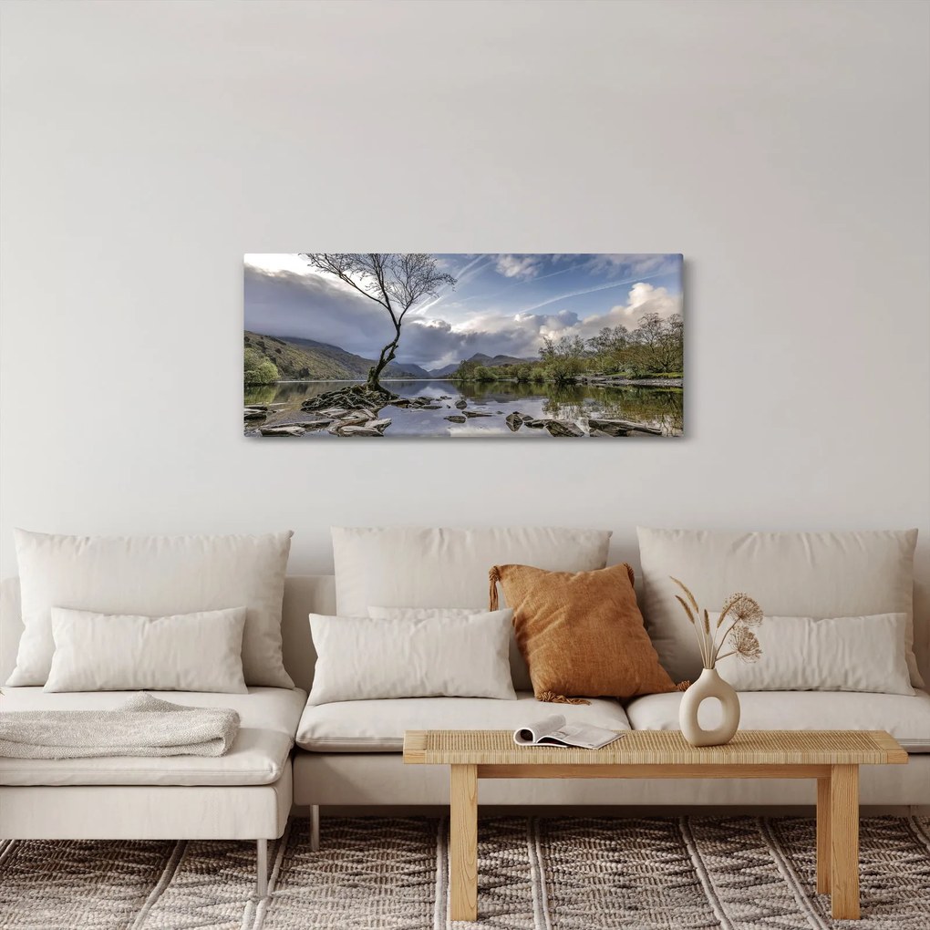 Obraz rieky za stromom (120x50 cm)