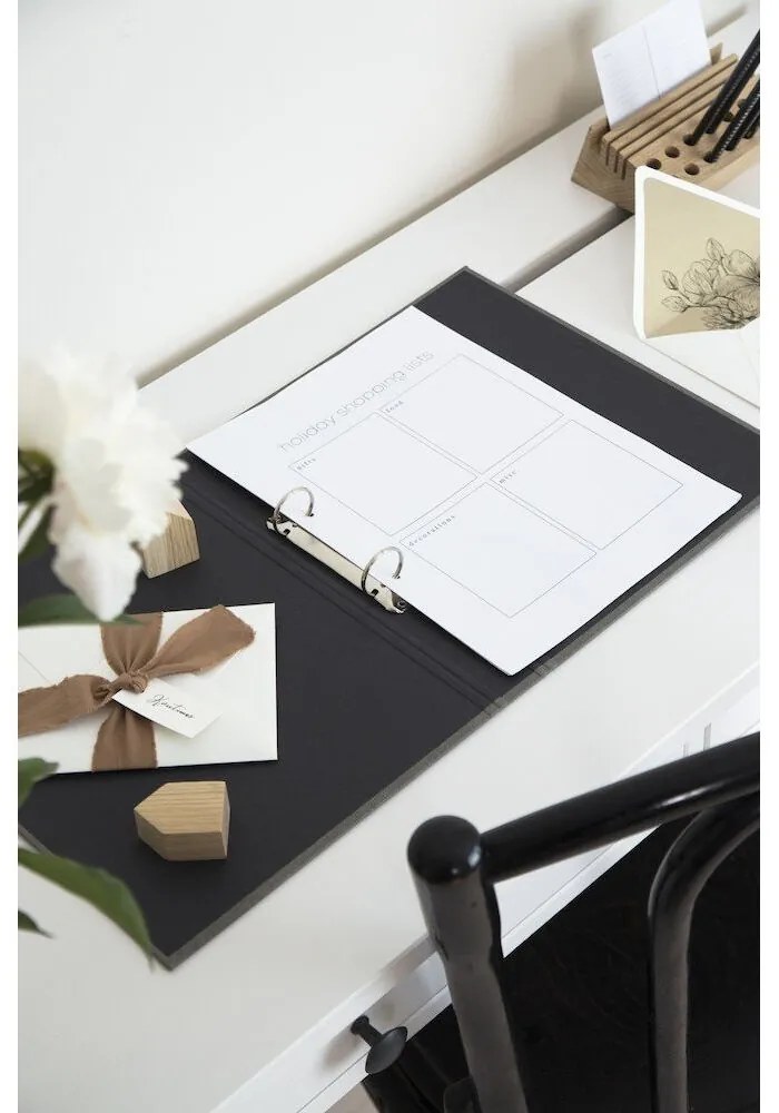 Kartónový organizér na dokumenty Ringo – Bigso Box of Sweden