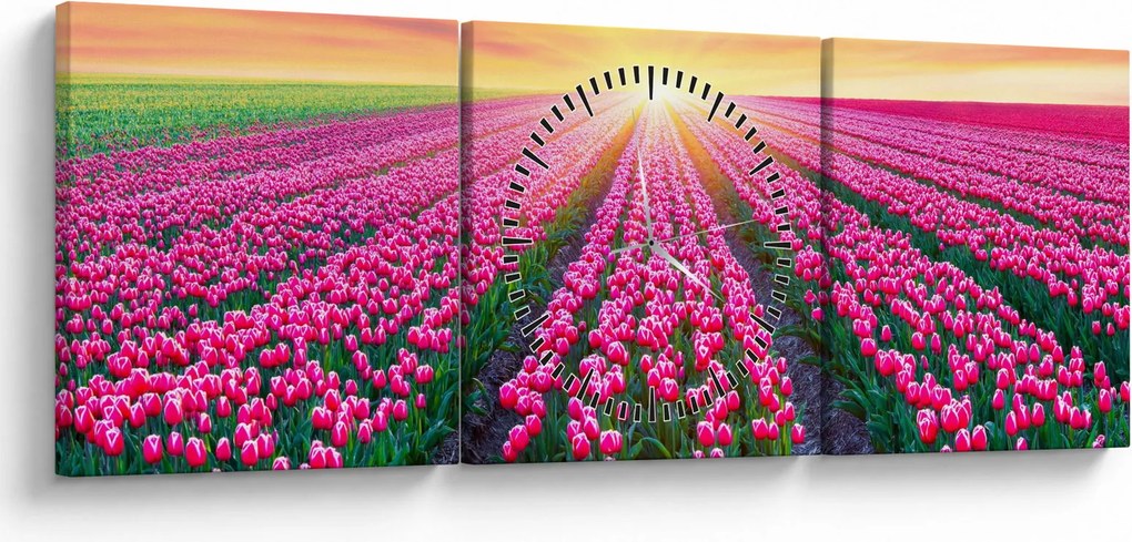 Obraz poľa tulipánov so slnkom (s hodinami) (90x30 cm)