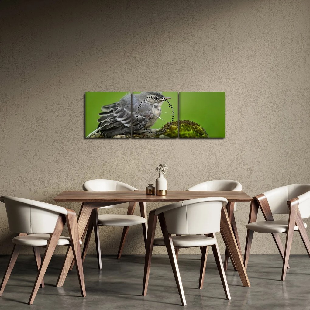 Obraz - Muchárik (s hodinami) (90x30 cm)