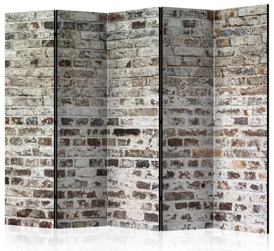 Artgeist Paraván - Walls of Time II [Room Dividers]