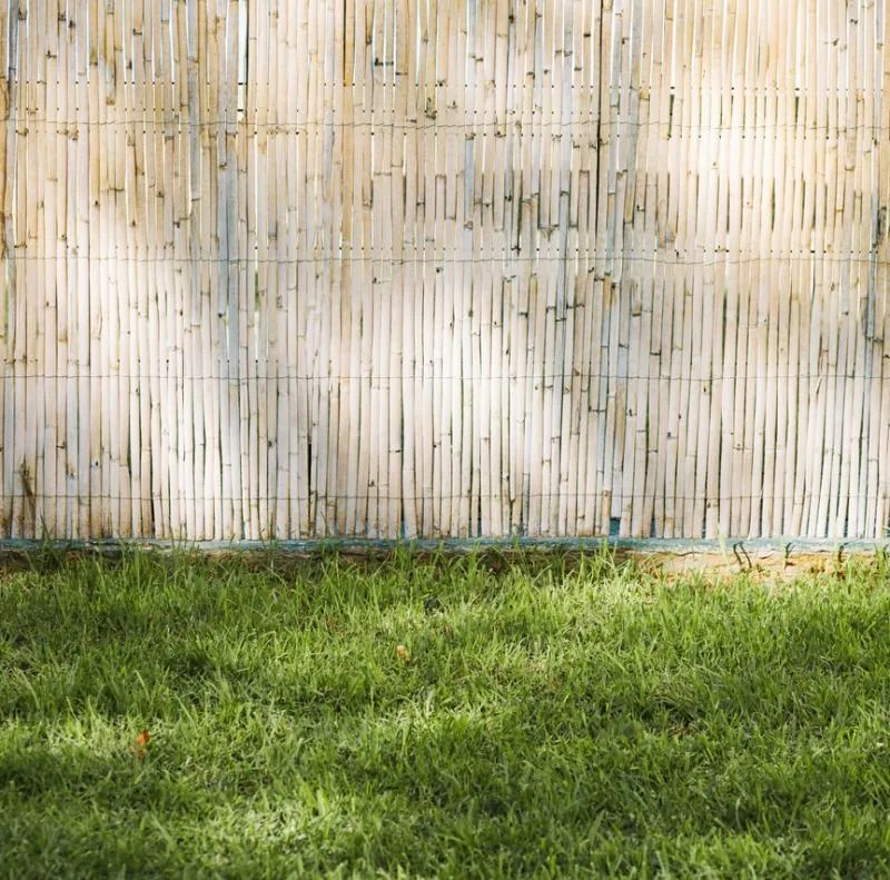 Bambusový plot 100 cm x 300 cm x 12 mm