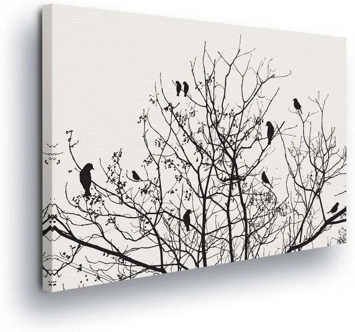 GLIX Obraz na plátne - Tree branches 100x75 cm