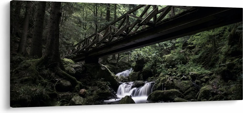 Obraz z čierneho lesa (120x50 cm)