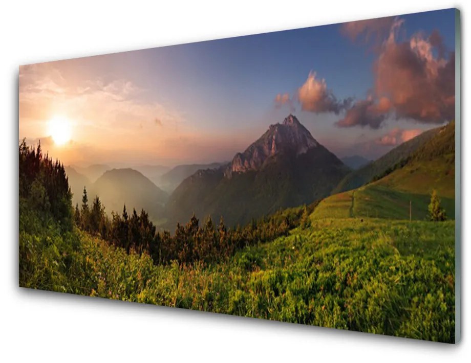 Obraz na akrylátovom skle Hora les príroda 100x50 cm