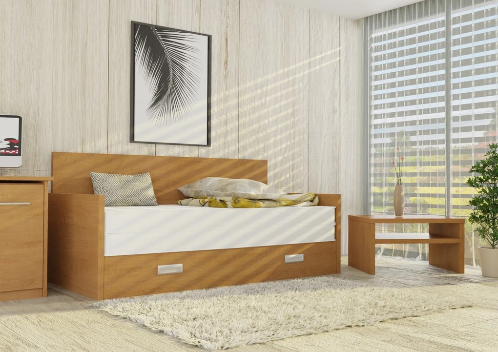 Wood Service Rozkladacia posteľ Ľubka 90 x 200