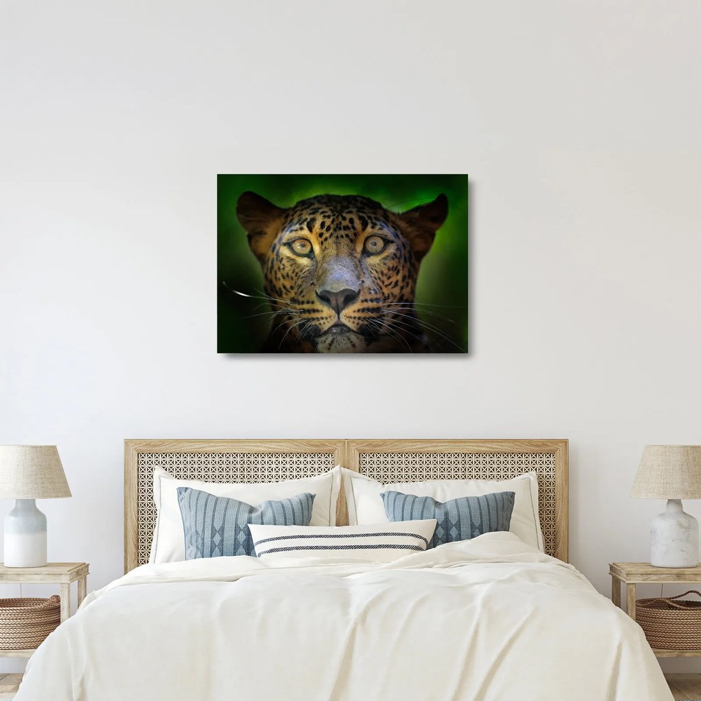 Sklenený obraz - Portrét leoparda, Sri Lanka (70x50 cm)