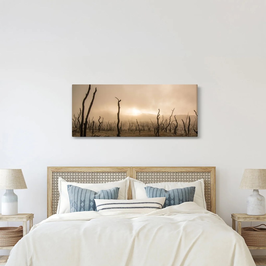 Obraz - Holé stromy (120x50 cm)
