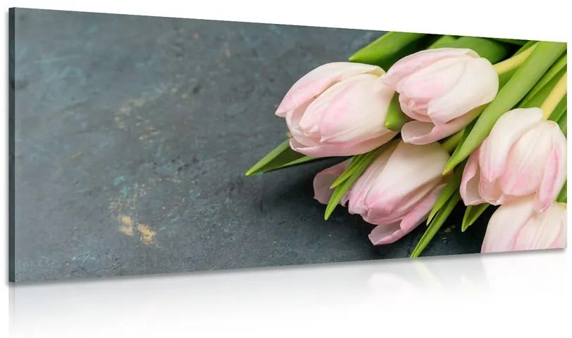 Obraz pastelovo ružové tulipány