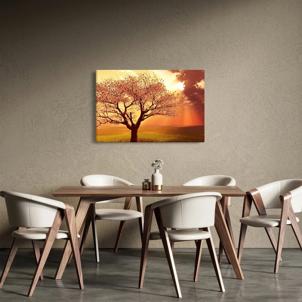 Obraz lúčov Boha (90x60 cm)