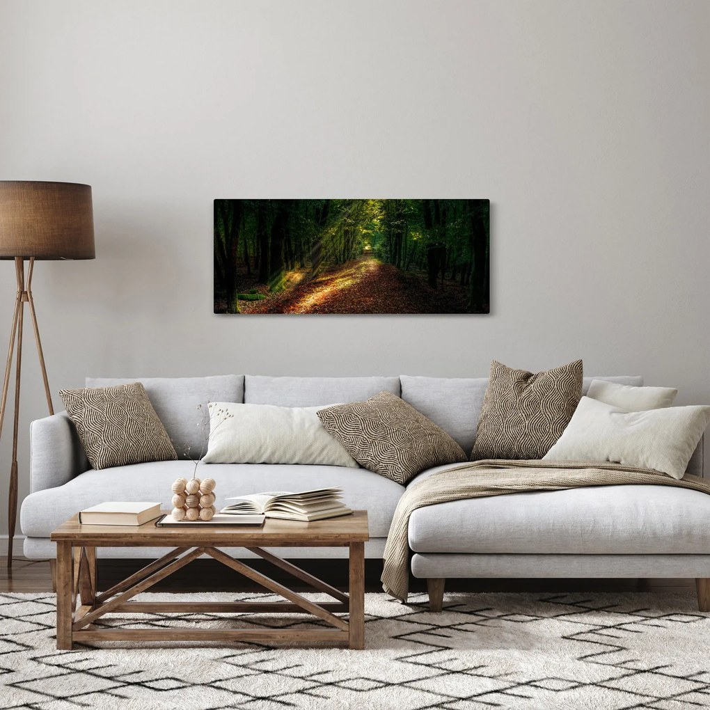 Obraz lesnej cesty (120x50 cm)