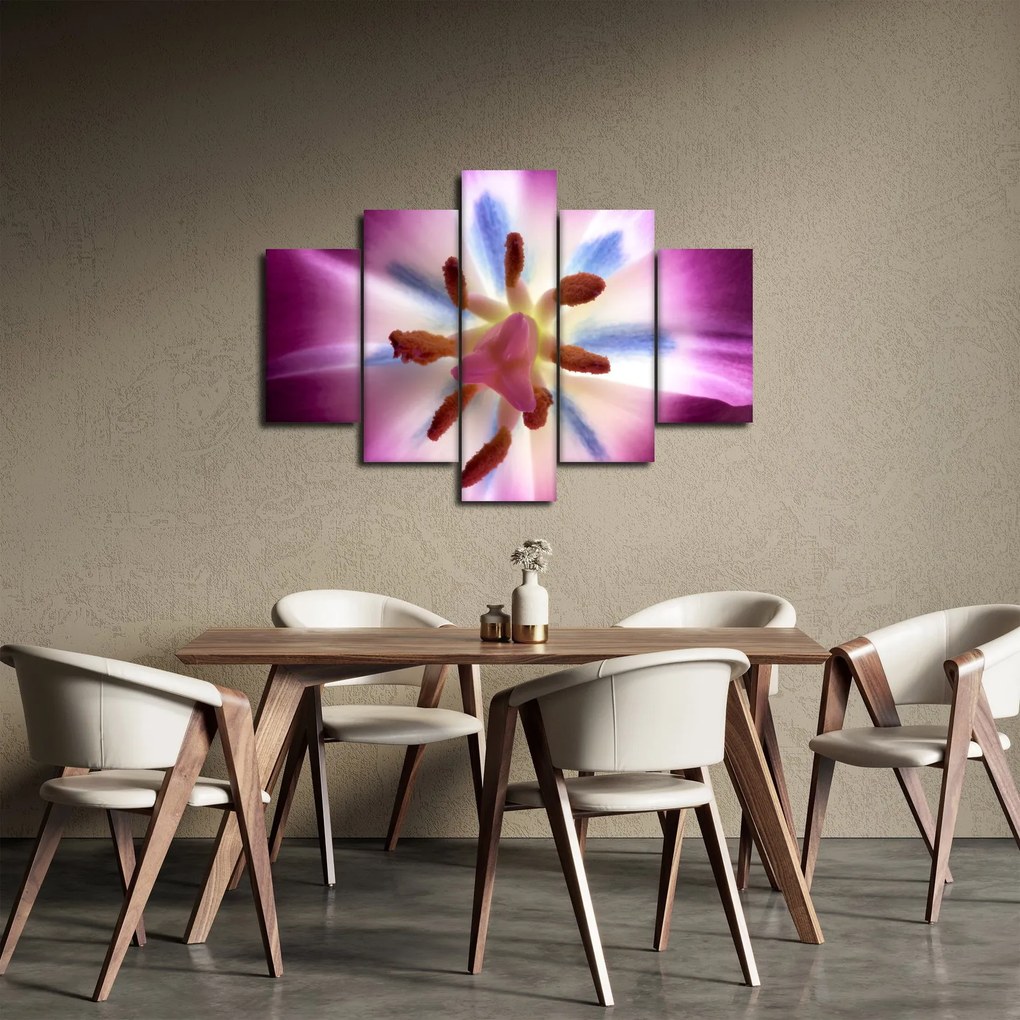 Obraz - Kvet tulipánu v detailu (150x105 cm)