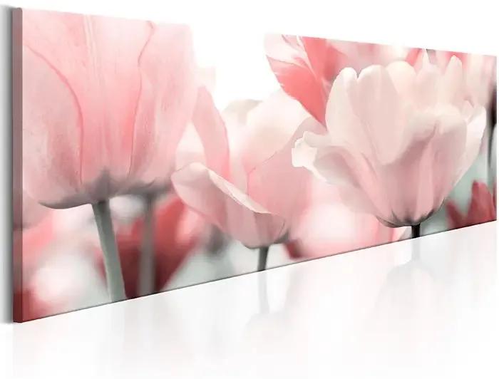 Obraz - Pink Tulips Veľkosť: 120x40, Verzia: Premium Print