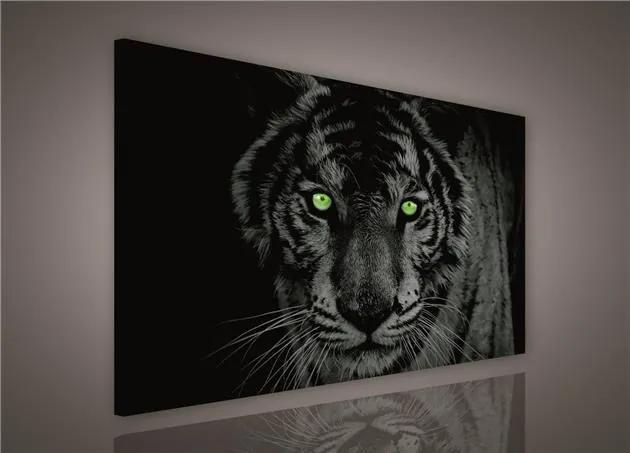 Obraz na stenu tiger zelené oči 100 x 75 cm