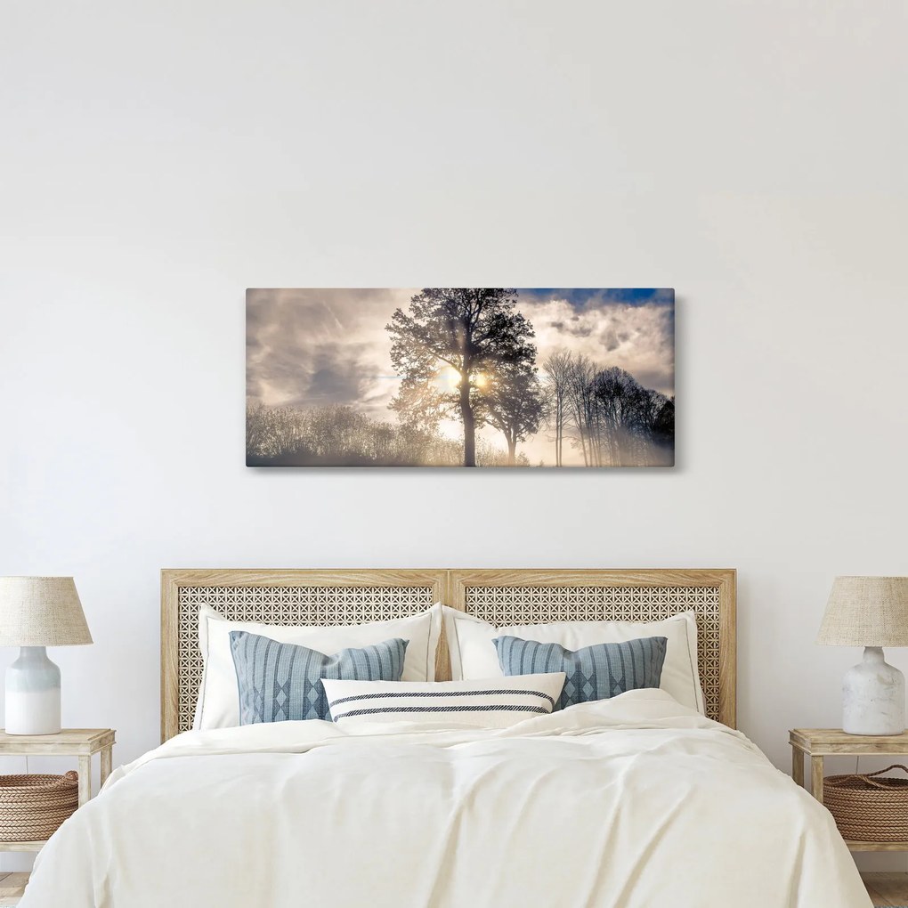 Obraz stromu v hmle (120x50 cm)