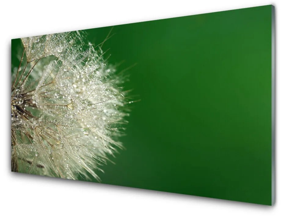 Nástenný panel  Púpava rastlina 120x60 cm