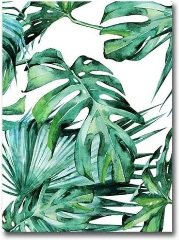 Obraz Canvart Jungle, 28 × 38 cm
