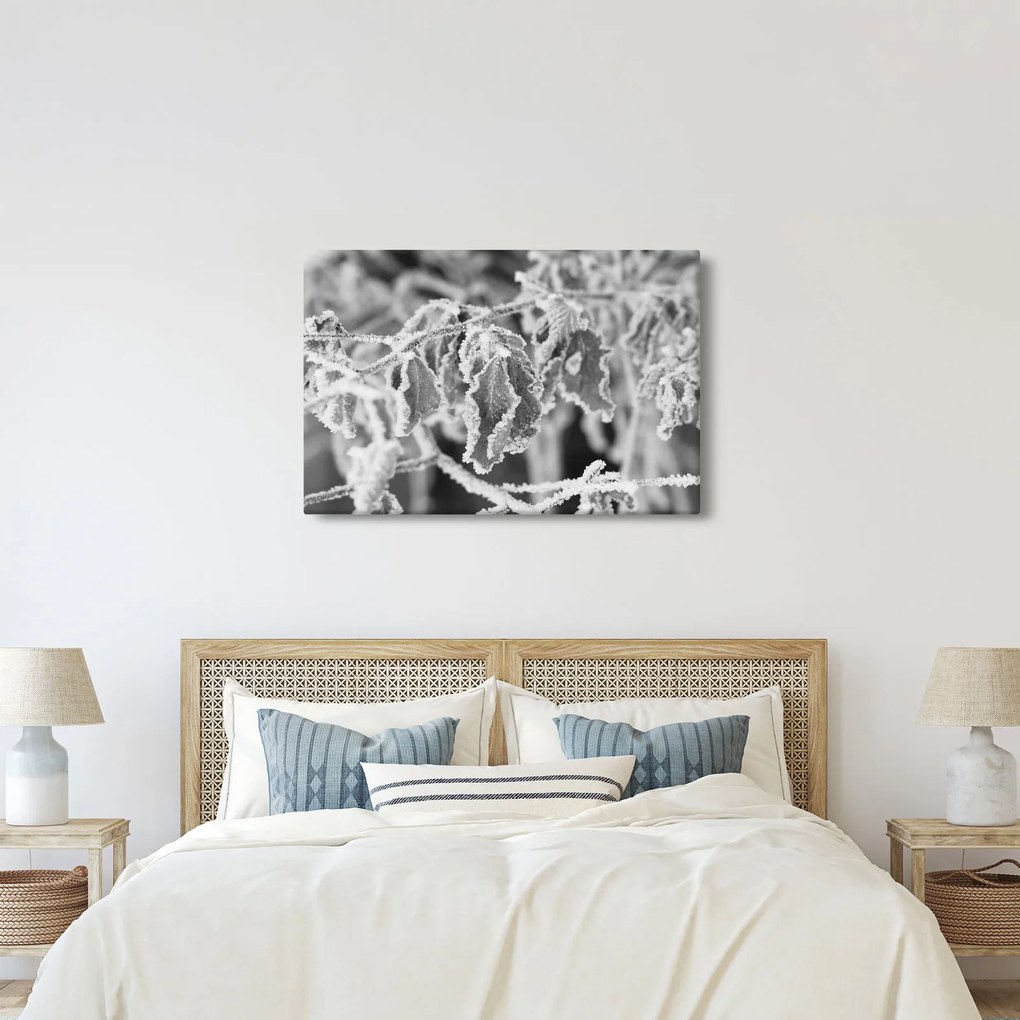 Obraz - Zmrznuté listy, čiernobiela (90x60 cm)