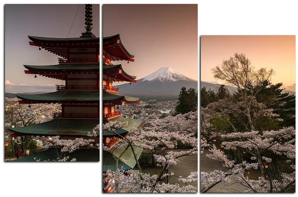 Obraz na plátne - Pohľad na horu Fuji  161C (150x100 cm)