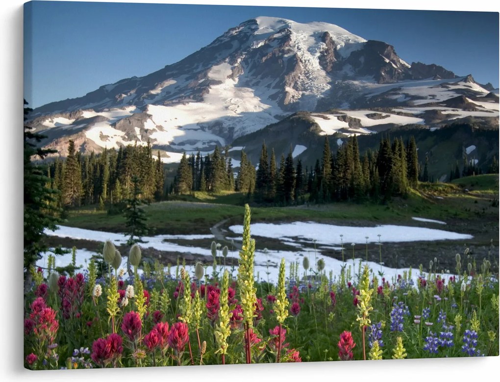 Obraz - Mount Rainier (70x50 cm)