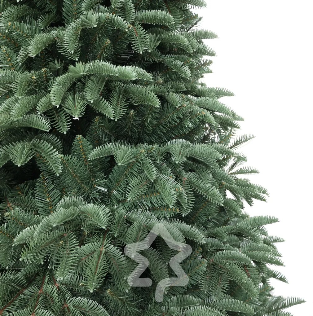 Smrek Oregon extra hustý 240 cm