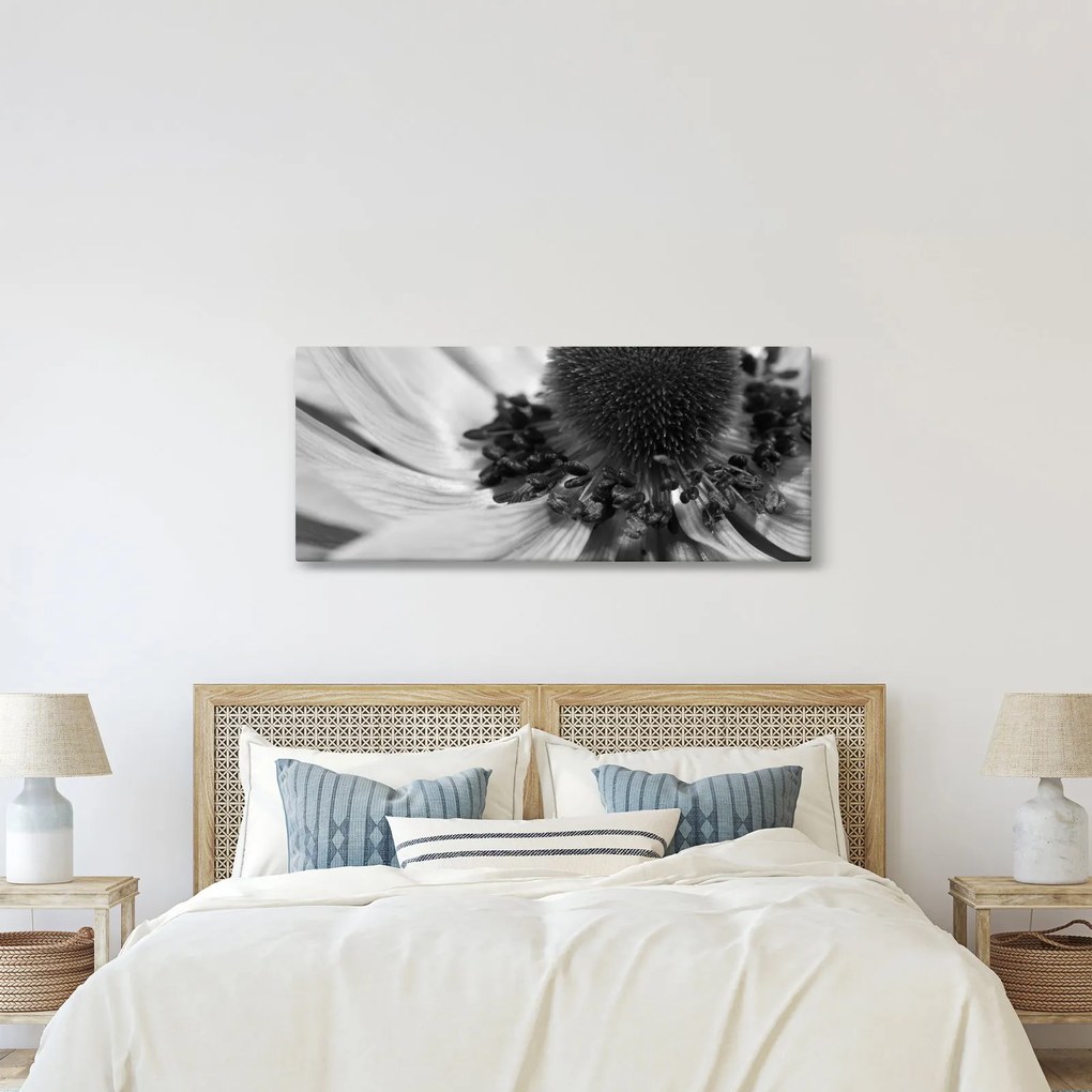 Obraz - Kvetina v čiernobielej (120x50 cm)
