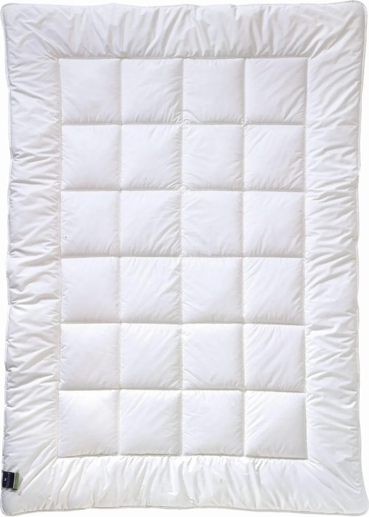 XXXLutz ZIMNÁ PRIKRÝVKA, 135/200 cm, polyester Billerbeck - Prikrývky & vankúše - 003279011601