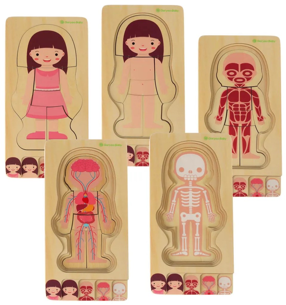KIK Drevené vrstvené Montessori puzzle Ľudské telo – 28 dielikov, anatomické pre deti