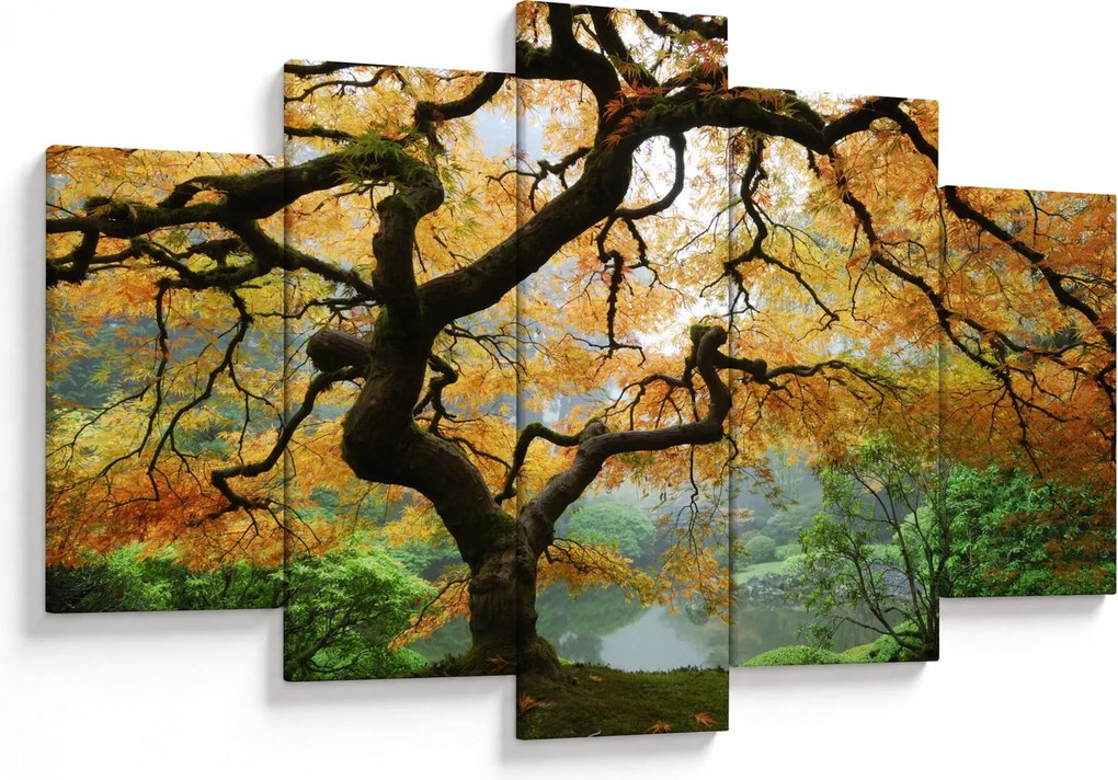Obraz žltého japonského javora, Portland, Oregon (150x105 cm)