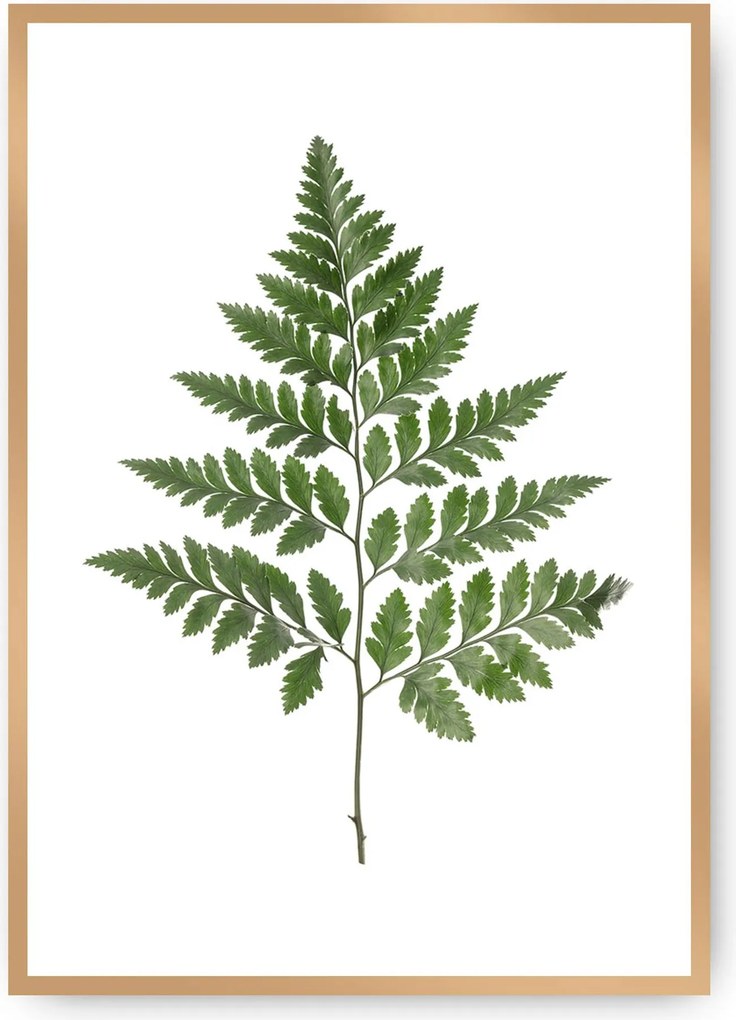 Plagát Fern Green