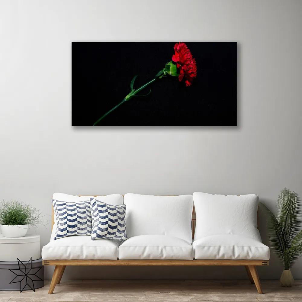 Obraz na plátne Kvet rastlina príroda 140x70 cm