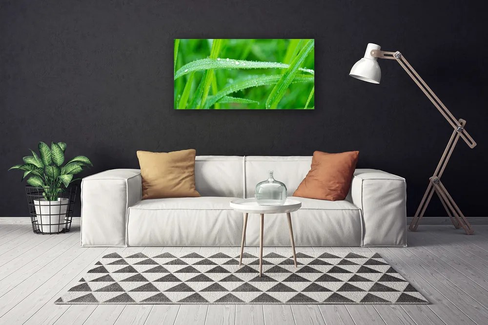 Obraz Canvas Listy kvapky rosy príroda 120x60 cm