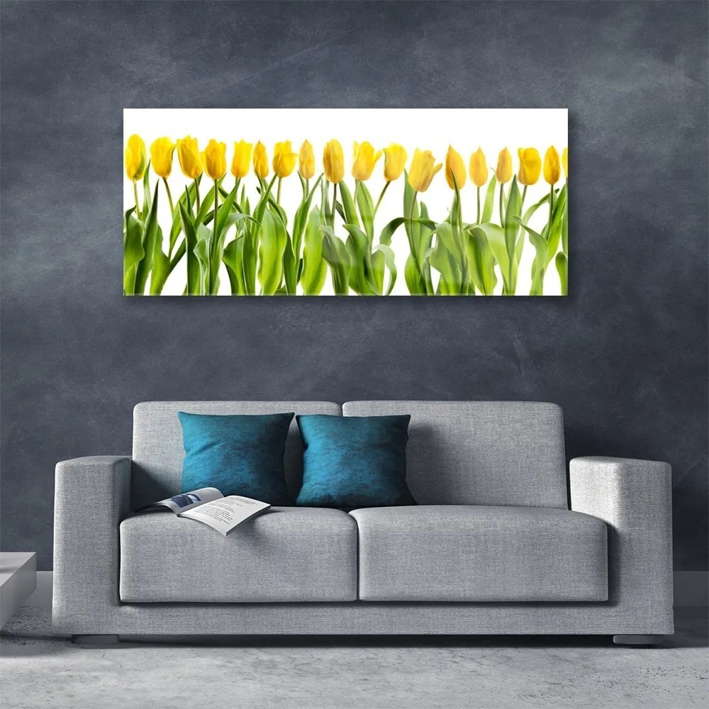 Obraz plexi Tulipány kvety príroda 125x50 cm