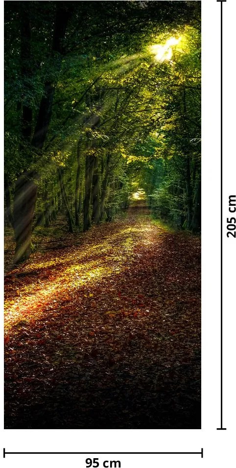 Fototapeta na dvere - Lesná cesta (95x205cm)