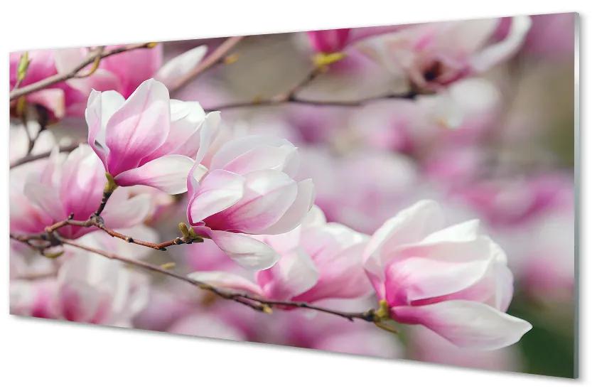 Sklenený obraz kvety 140x70 cm