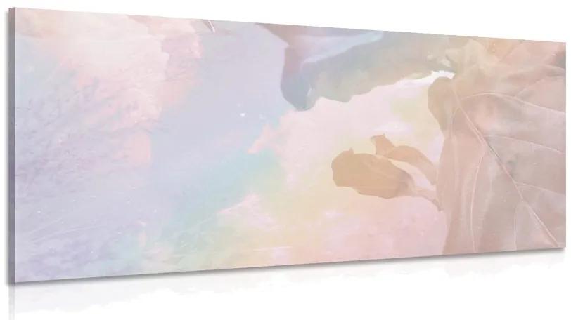 Obraz odraz pastelových listov Varianta: 100x50