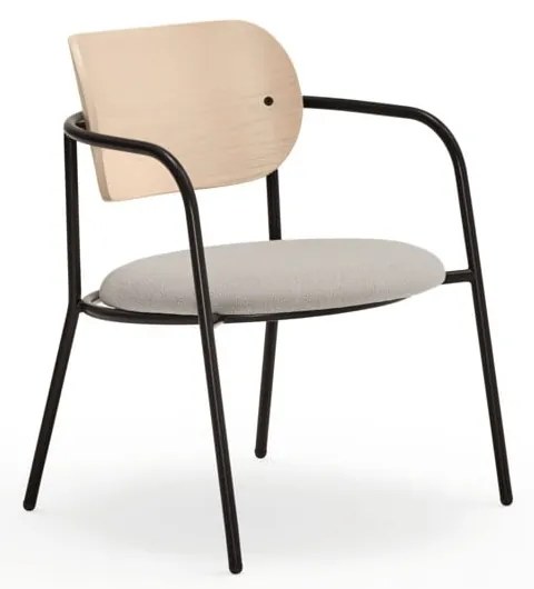 Svetlosivé kreslo v dekore jaseňa Eclipse - Teulat