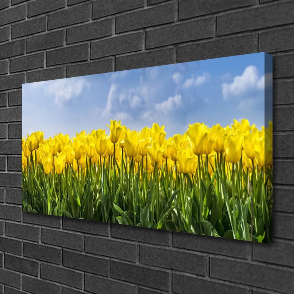 Obraz Canvas Tulipány kvety rastlina 100x50 cm