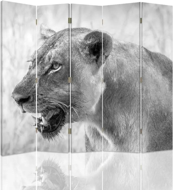 CARO Paraván - Lioness | päťdielny | obojstranný 180x150 cm
