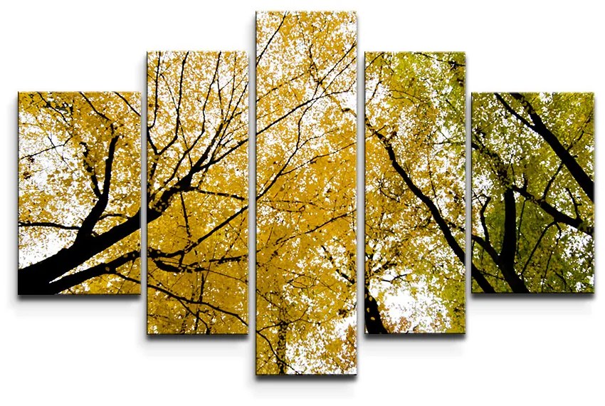 Sablio Obraz - 5-dílný Koruny stromov - 125x90 cm