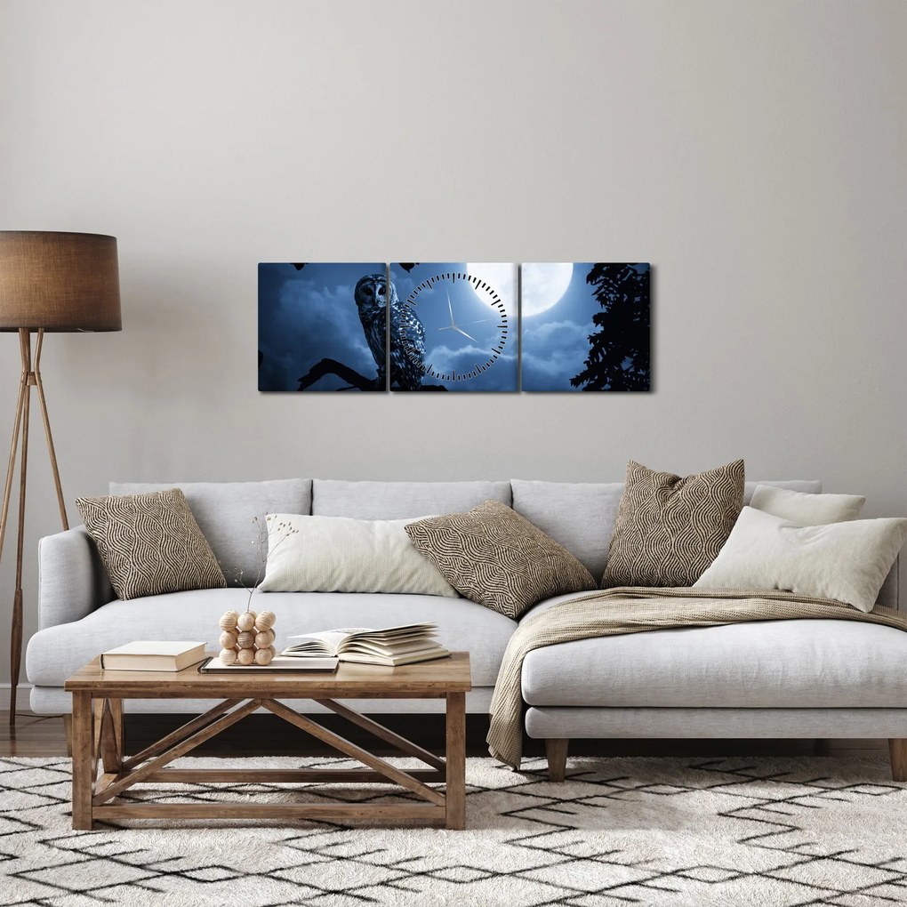 Obraz - Nočná sova (s hodinami) (90x30 cm)