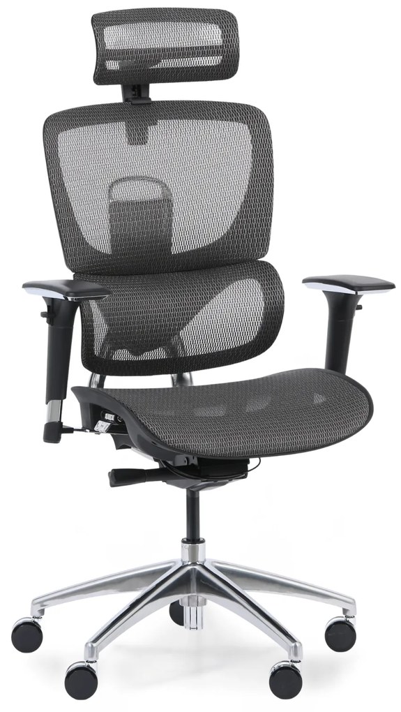 Multifunkčná kancelárska stolička WINSTON SA, sivá