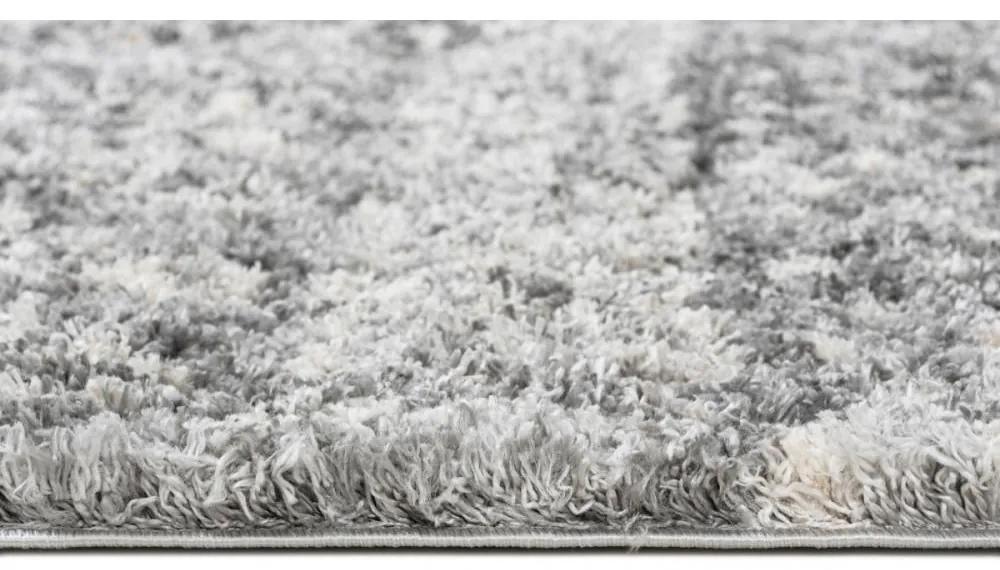 Kusový koberec shaggy Alsea sivý 200x300cm
